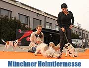 Münchner Heimtiermesse 2013 – Drei tierische Tage im Zenit 22.-24.03.2013 (©Foto: MartiN Schmitz)